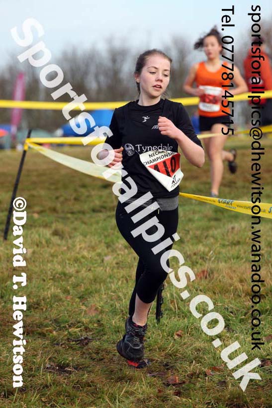 Girls under-15s North Eastern Cross Country, Aykley Heads, Durham. Photo: David T. Hewitson/Sports for All Pics